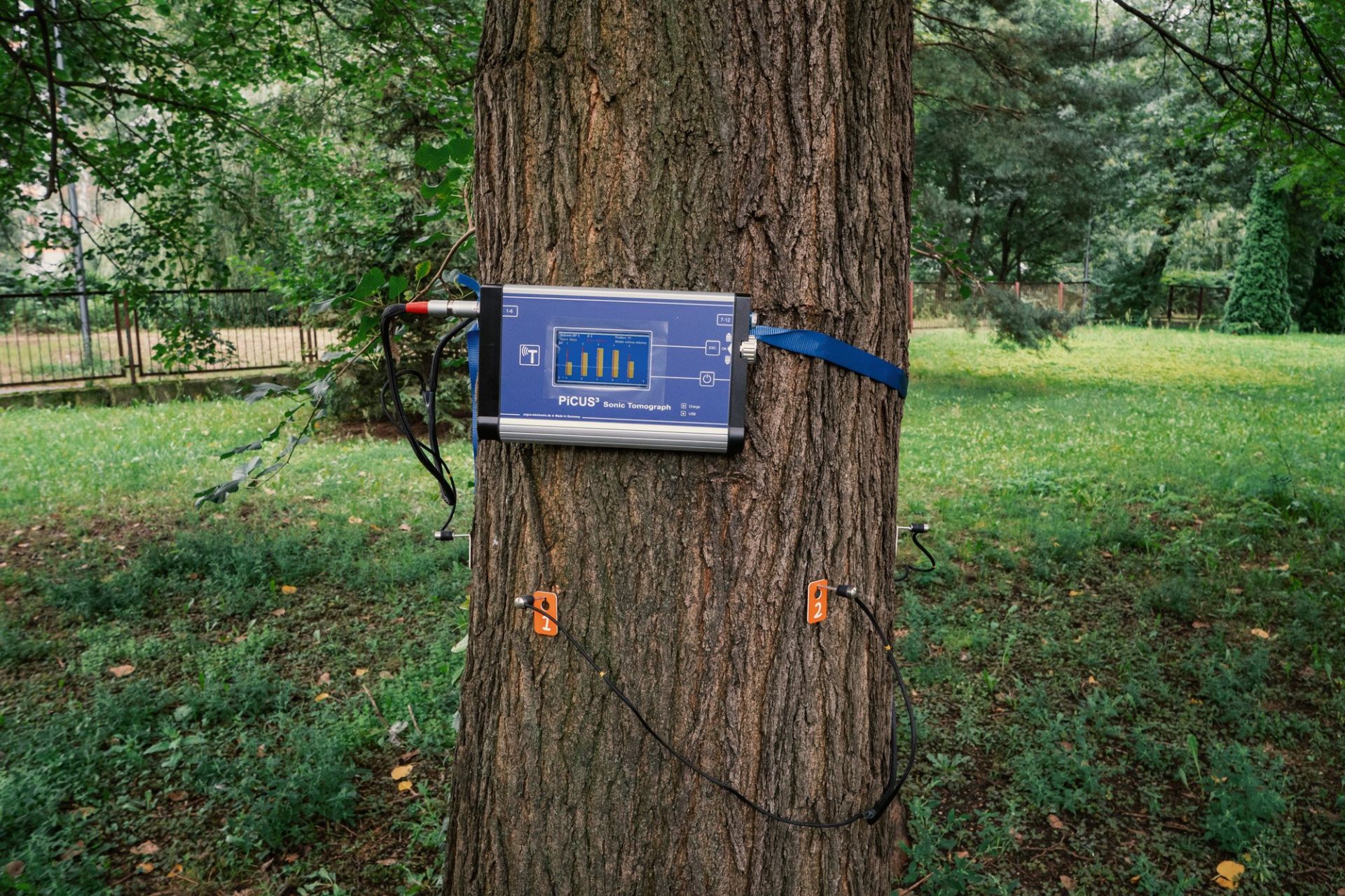 tomograf do badania drzew 
