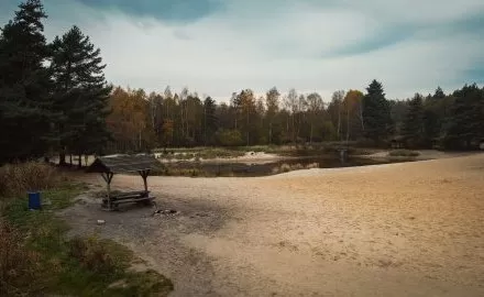 Kolejne "śląsko-zagłębiowskie szwendanie okoliczne". Długi spacer na południu Katowic w nadchodzący weekend