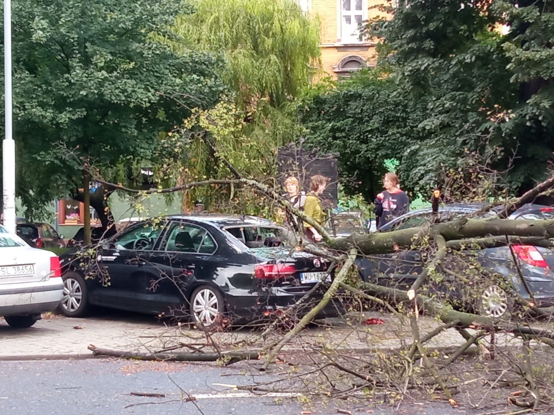 Drzewo zawaliło się na 3 samochody przy placu Rostka w Katowicach