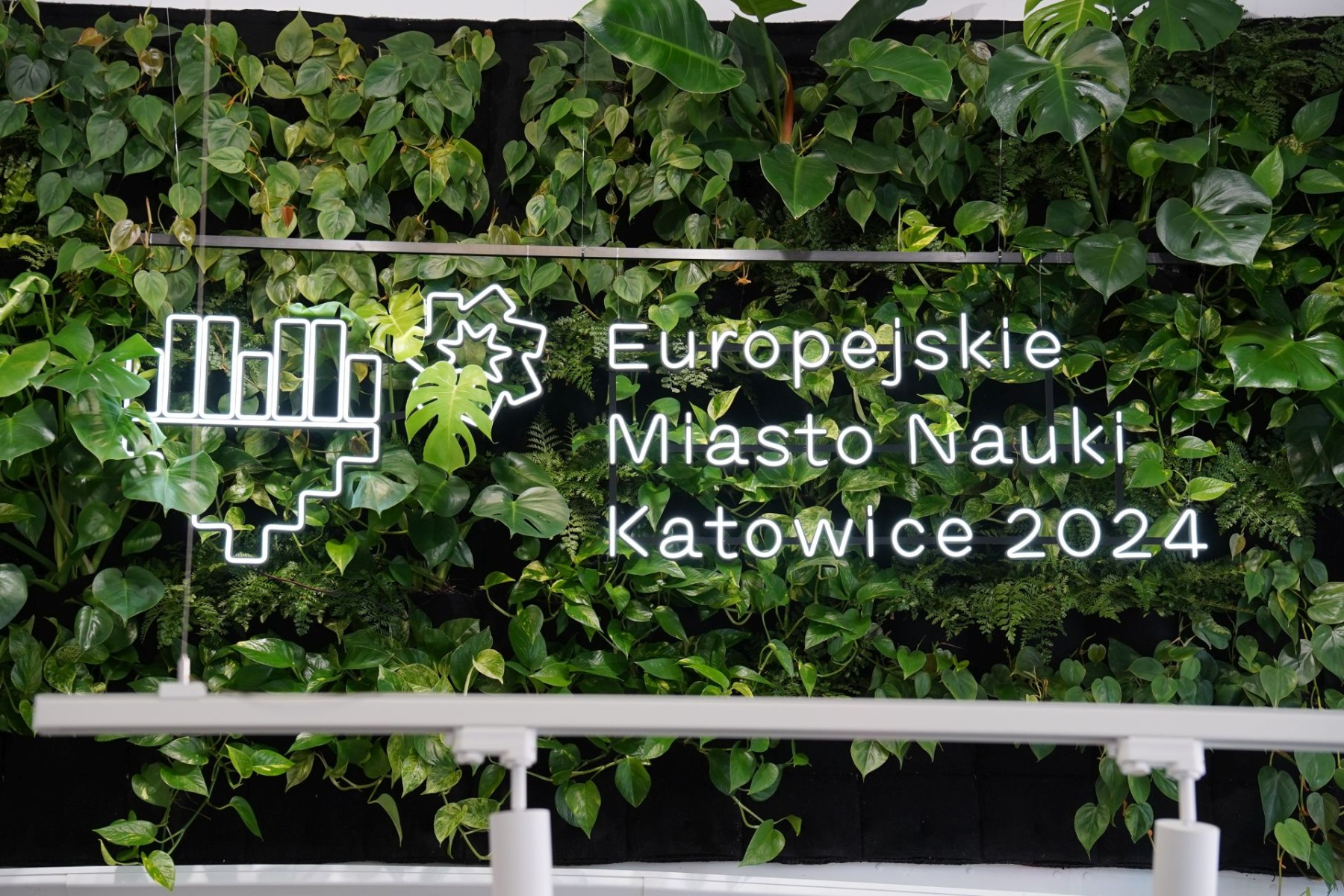 Europejskie Miasto Nauki Katowice 2024 - Kato Science Corner