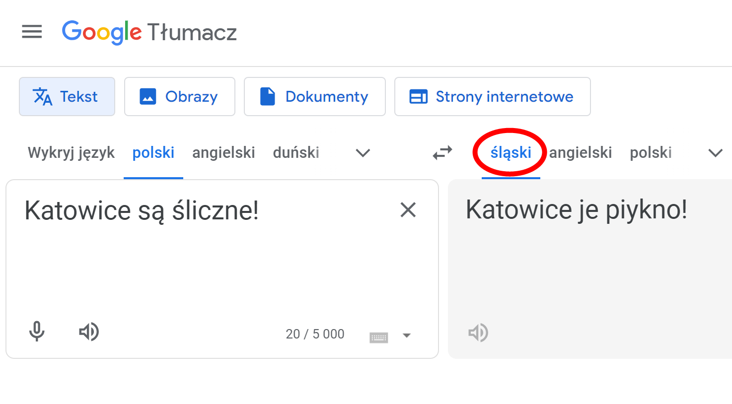 Język śląski w... tłumaczu Google? "Spełnienie marzeń wielu śląskich