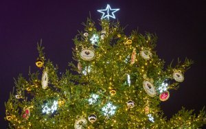 Choinka na rynku już świeci. Świąteczne drzewko ma 12 metrów! [Zdjęcia, wideo]