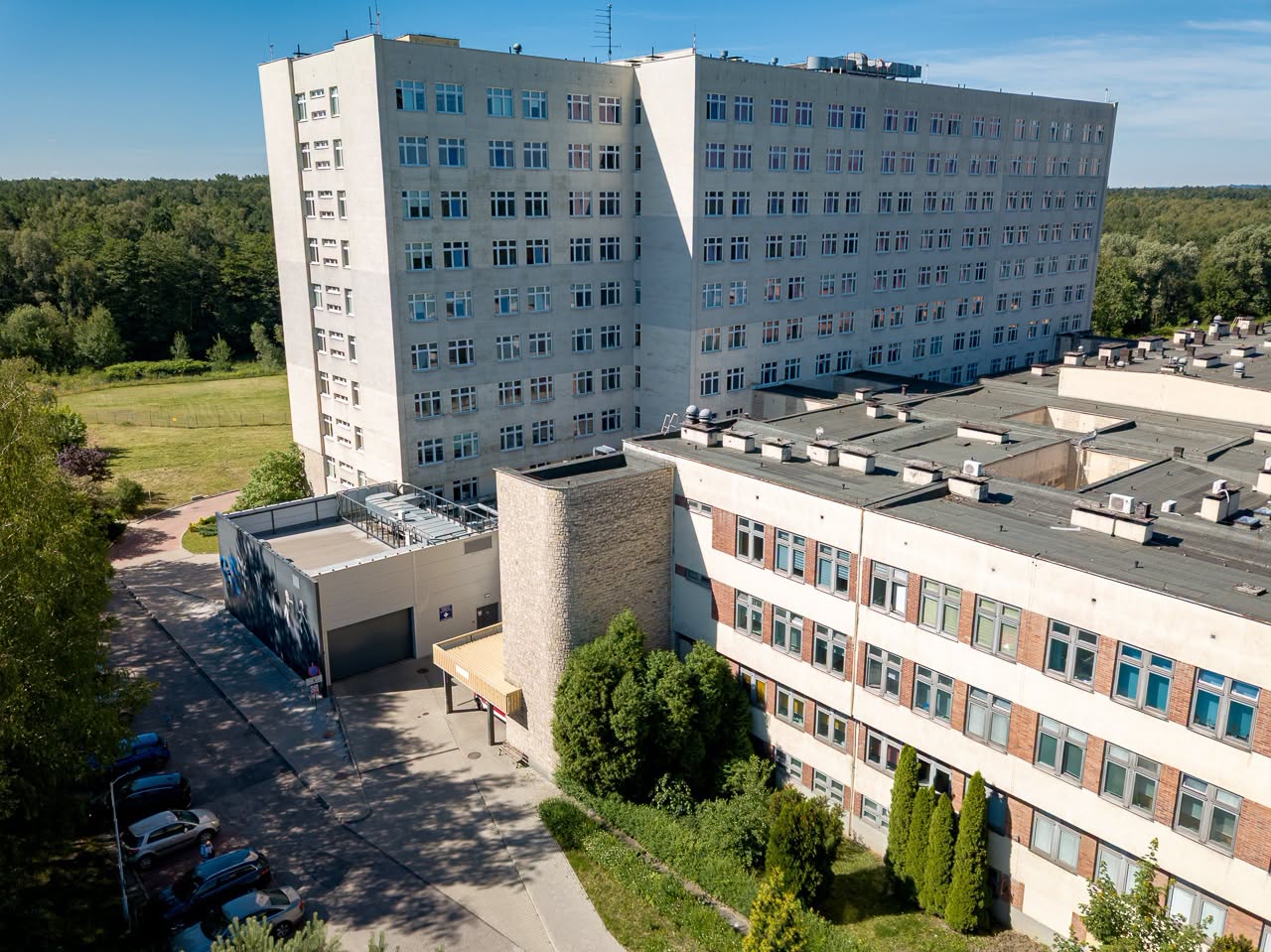 Psy pogryzły 8-latkę w Sosnowcu. Stan dziewczynki poprawia się w GCZD w Katowicach