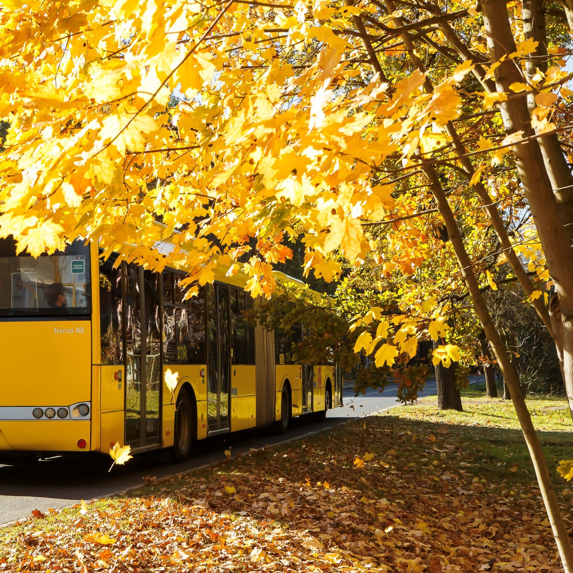 autobus w jesień w katowicach