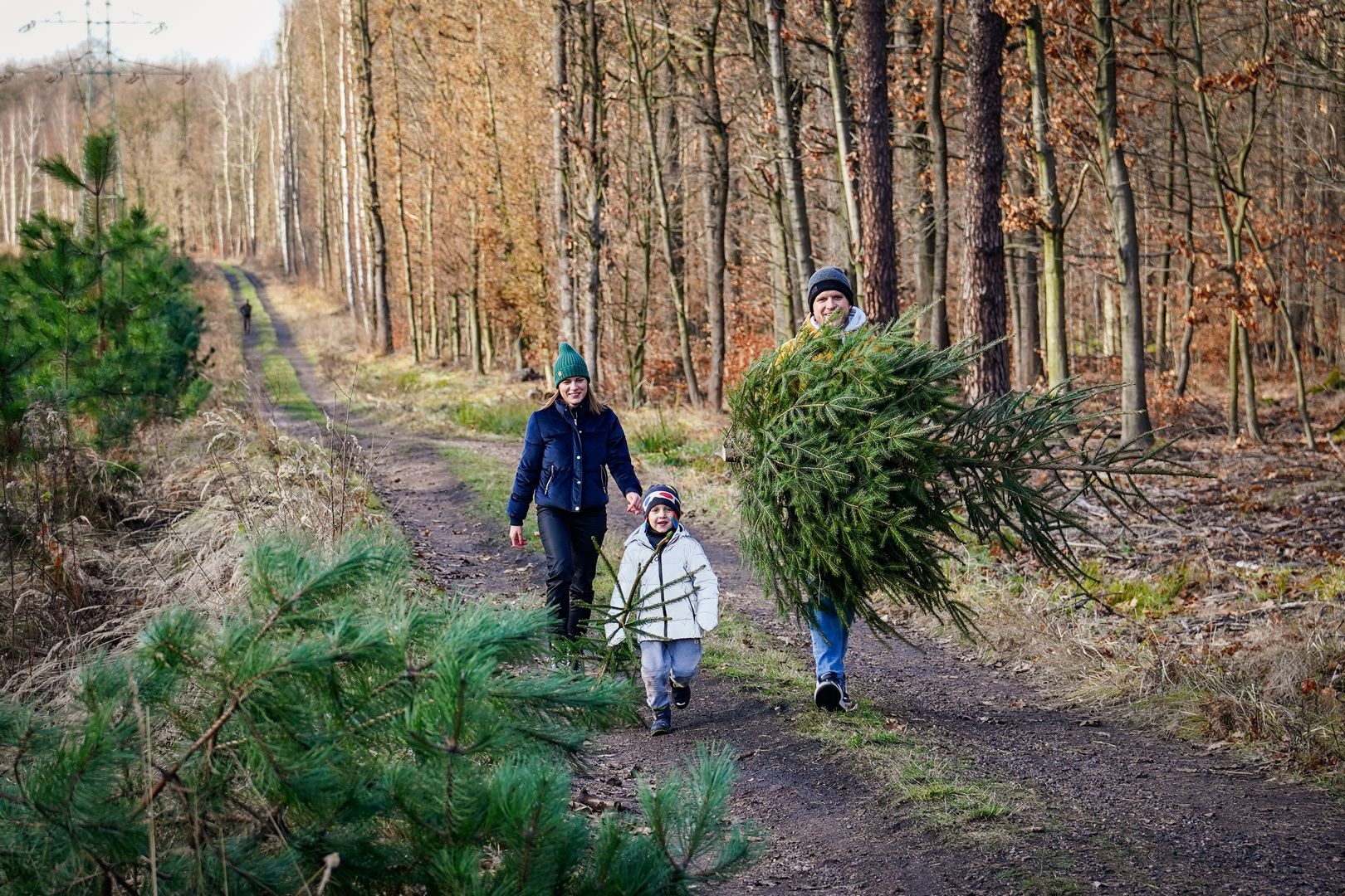 rodzina z choinką idą przez las w Ochojcu w Katowicach